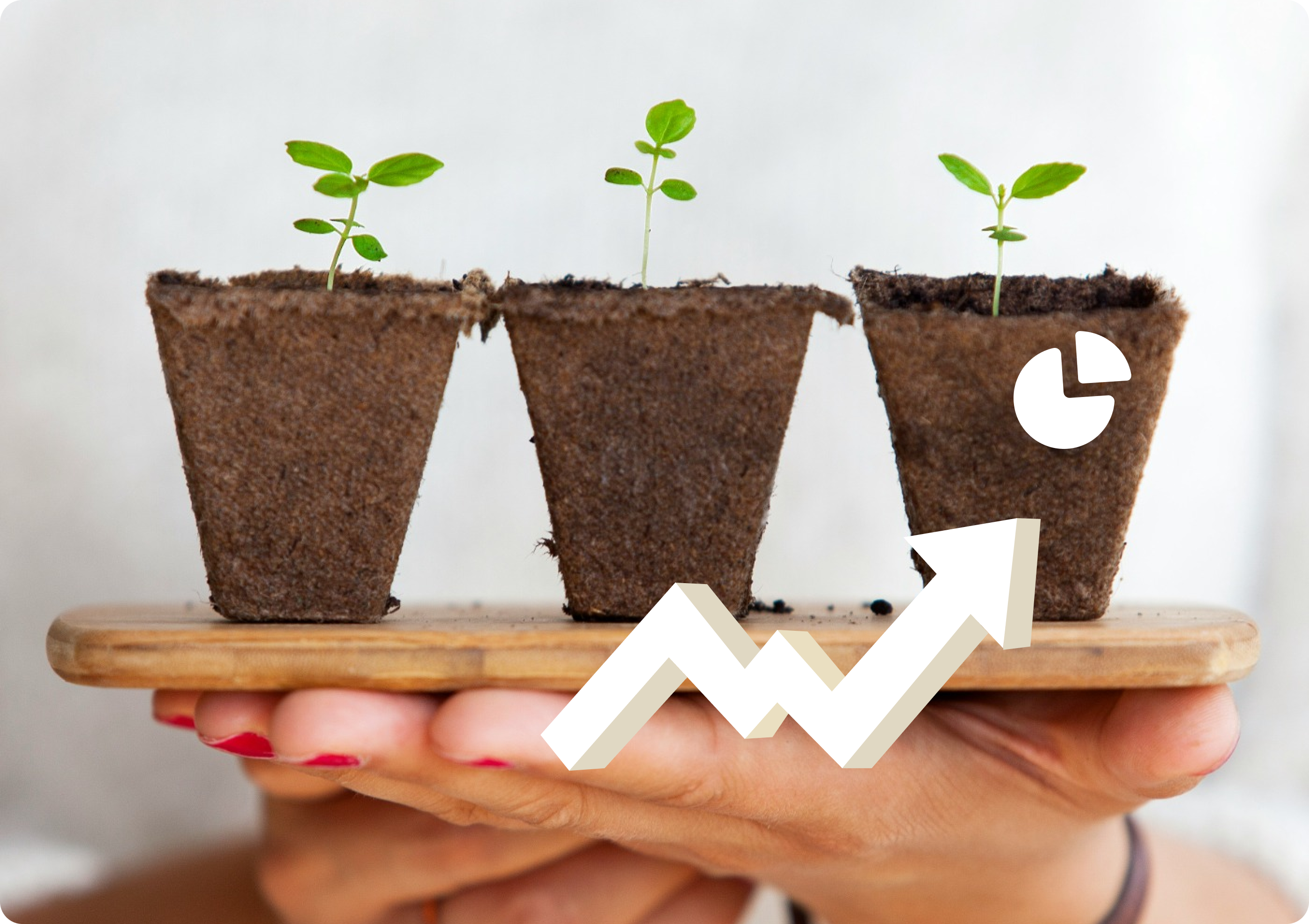 The right podia plan for you